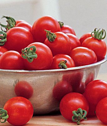 Tomato